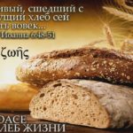 Слово на 19 рядовое воскресенье